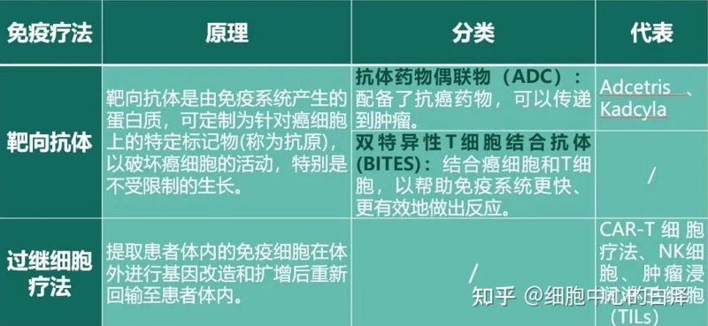 蛋白质表达的重要性及其在生物技术中的应用