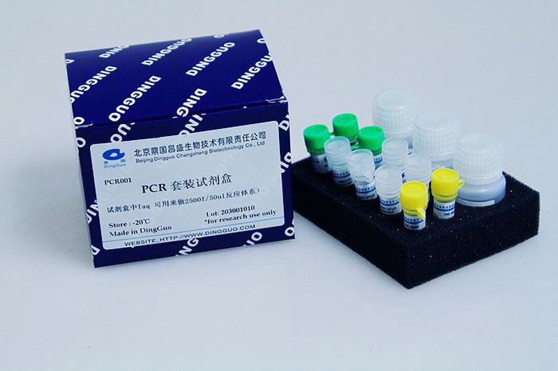 抗体定制：从零开始的生物医学之旅