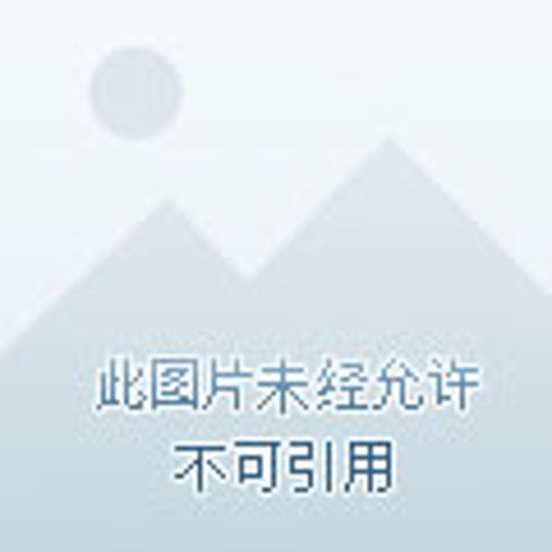 生物试剂:选择与应用的指南